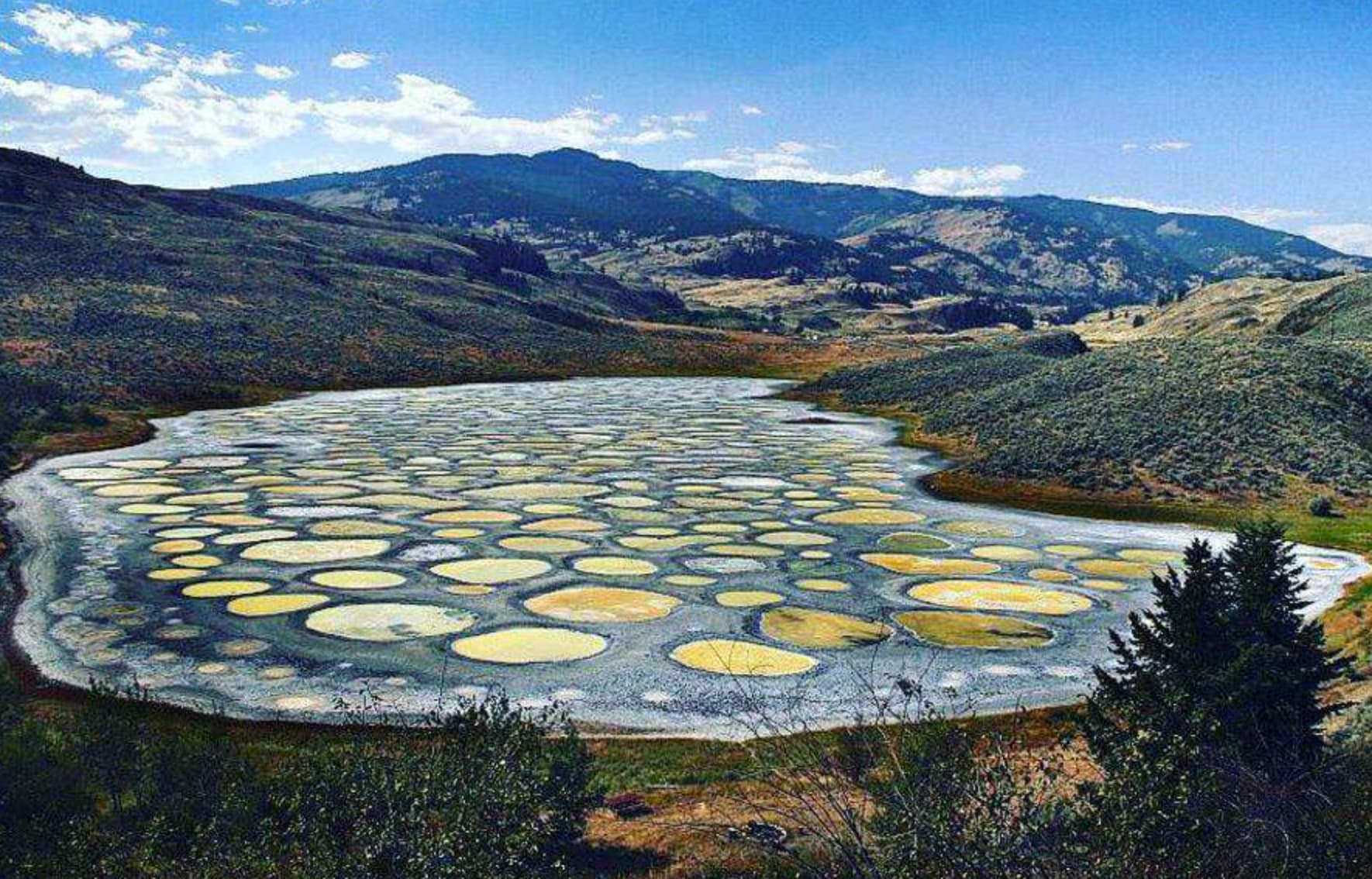 spotted lake canada